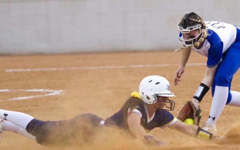 Lady Badger softball players earn all-distric