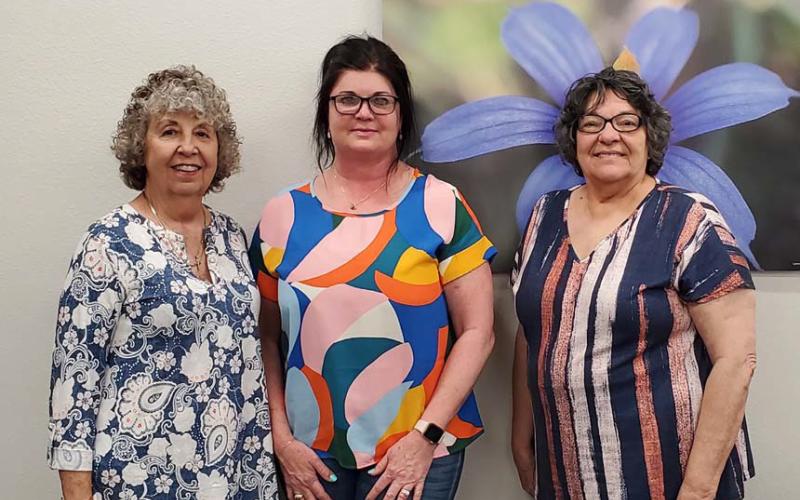 New officers named for Vision Lampasas