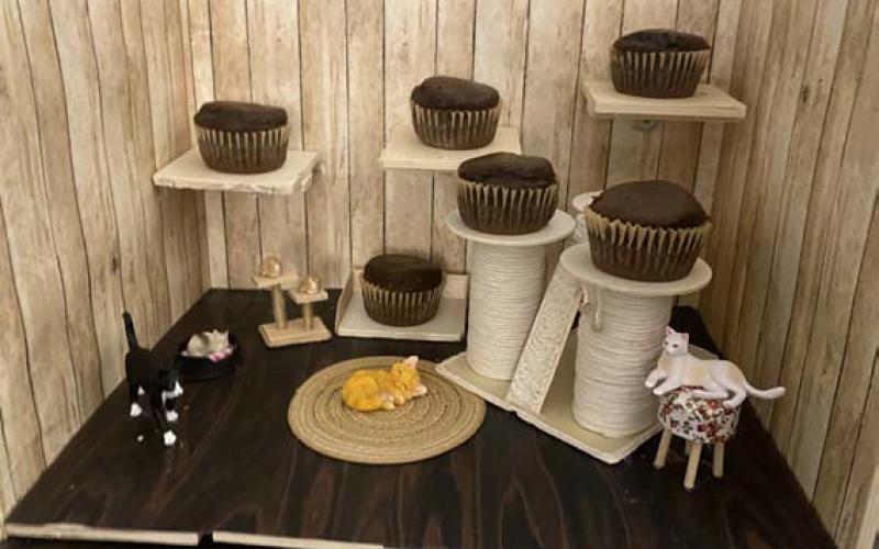 These chocolate pumpkin cupcakes were baked by Elizabeth Martinez. Courtesy photo