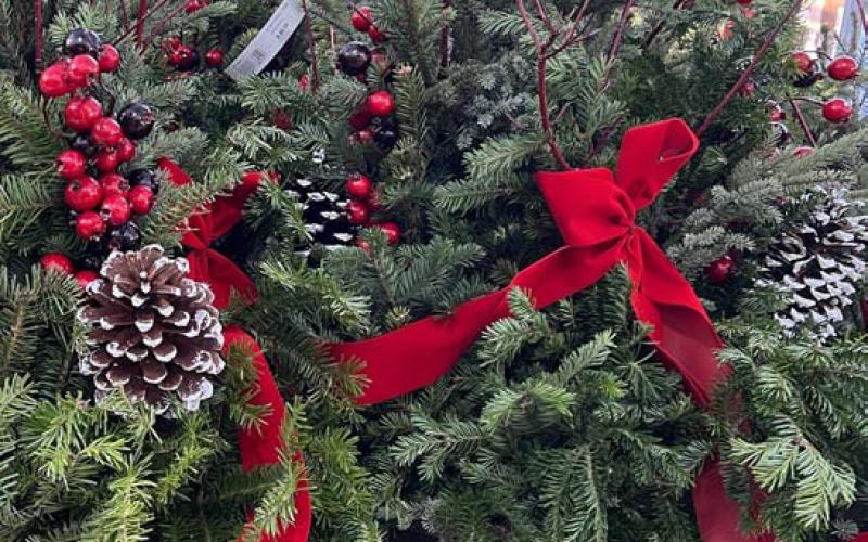 Containers filled with greenery, colorful stems, cones, berries and more can brighten the landscape all winter long. COURTESY PHOTO | WWW.MELINDAMYERS.COM