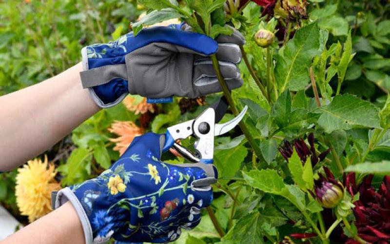 Stylish garden gloves and a pruner with comfort grip handles are functional gifts, allowing mom to garden longer. courtesy photo | corona tools