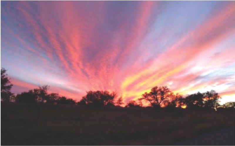 Brilliant colors streak across the sky, as the sun dips below the horizon on a recent November evening. COURTESY PHOTO