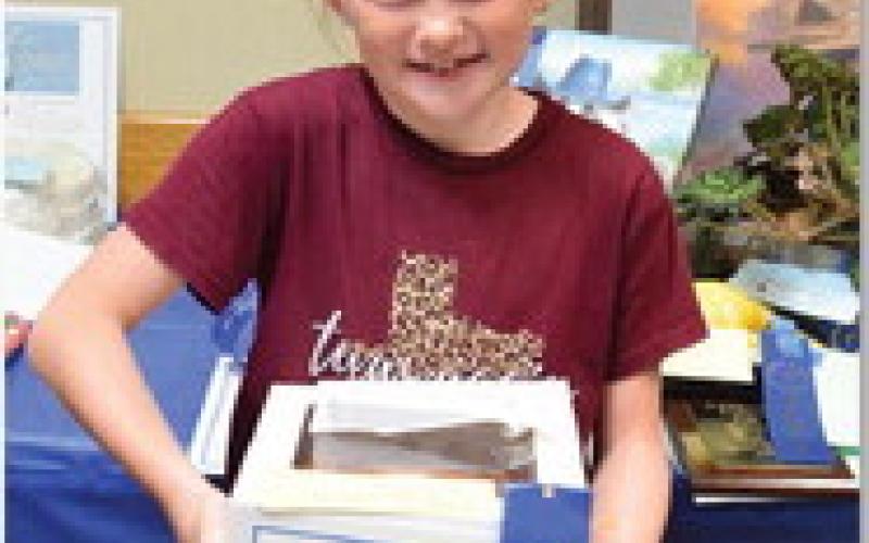 Kylee Davis won junior champion in baked goods with a chocolate cake. ALEXANDRIA RANOLPH | DISPATCH RECORD