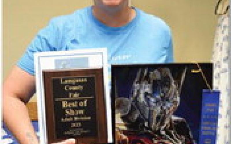 Shawna Harrison won adult champion in crafts with a cross stitch piece. ALEXANDRIA RANDOLPH | DISPATCH RECORD