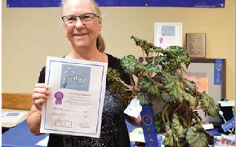Gail Eltgroth won adult champion honors in horticulture with a begonia. She also was named adult champion in canned goods. ALEXANDRIA RANDOLPH | DISPATCH RECORD