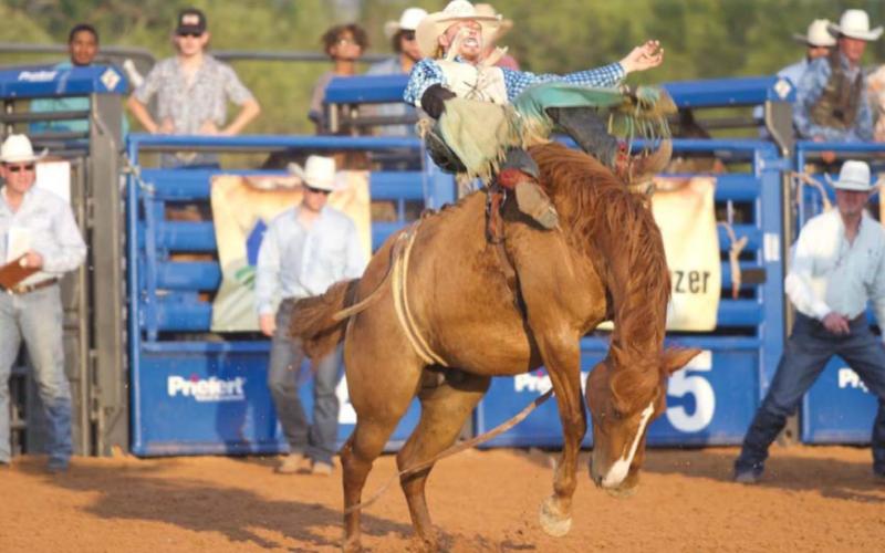 Riata Roundup features variety of rodeo action
