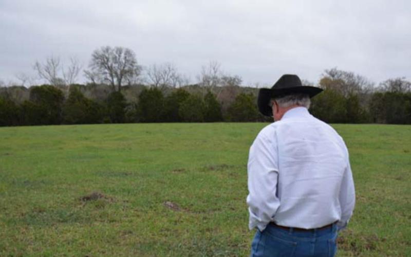 Mickey Edwards walks his Lampasas County ranch in this March 2021 photo. With low rain expected this year, Edwards fears a hay shortage could occur. MONIQUE BRAND | DISPATCH RECORD