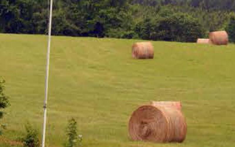 RSVPs are requested as soon as possible for the Central Texas Hay Production Workshop. The program is scheduled for Thursday from 9 a.m. to 2 p.m. in Burnet. COURTESY PHOTO