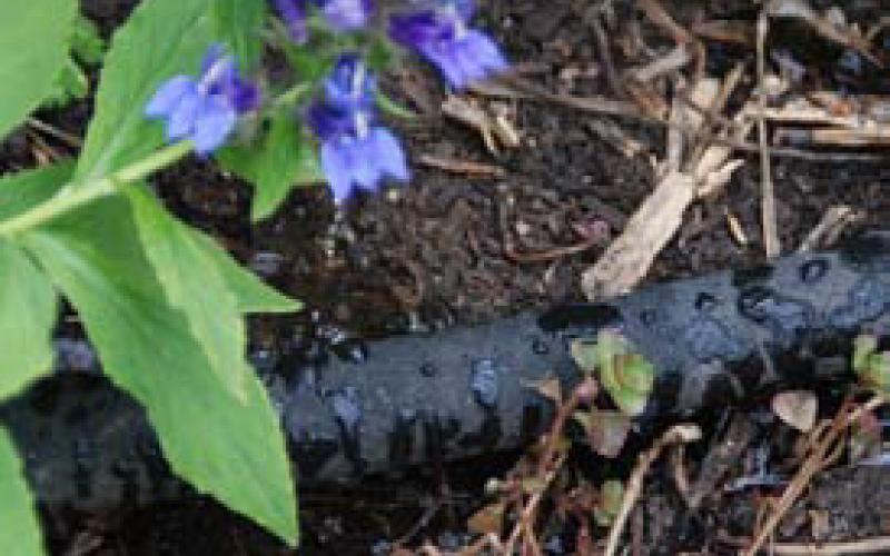 Soaker hoses and drip irrigation save water by applying moisture directly to the soil where it is needed. courtesy photo | melindamyers.com