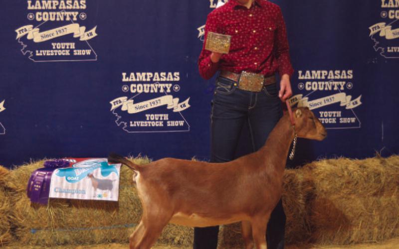 Grand champion dairy goat was shown by Lavinia Purdy. ERICK MITCHELL | DISPATCH RECORD
