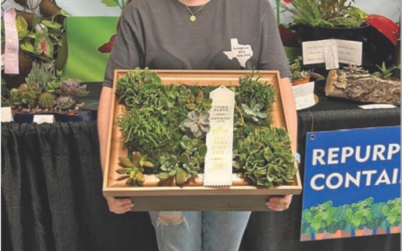 COURTESY PHOTO Karli Wiley won third place in the “Repurposed Container Grown Planters” with her succulents frame.