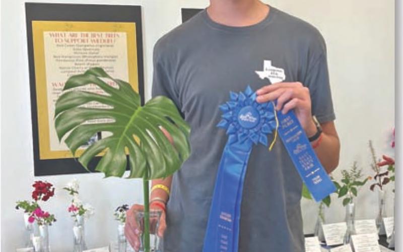 COURTESY PHOTO Lampasas High School FFA student Chase Kuklies won “Grand Champion Cut Specimen” honors with his split-leaf philodendron.
