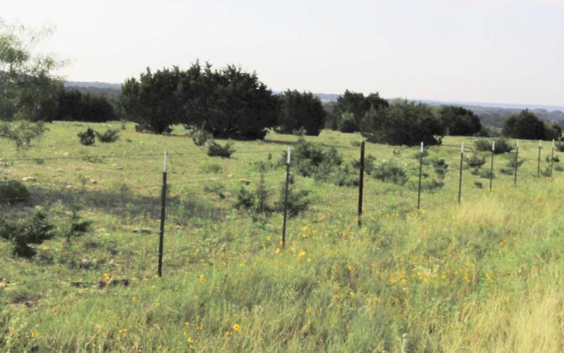 Healthy native grass and vegetation grow outside this ranch fence, while sparse and undesirable green weeds grow inside the fence due to overgrazing during last year’s drought. Joycesarah McCabe | Dispatch Record