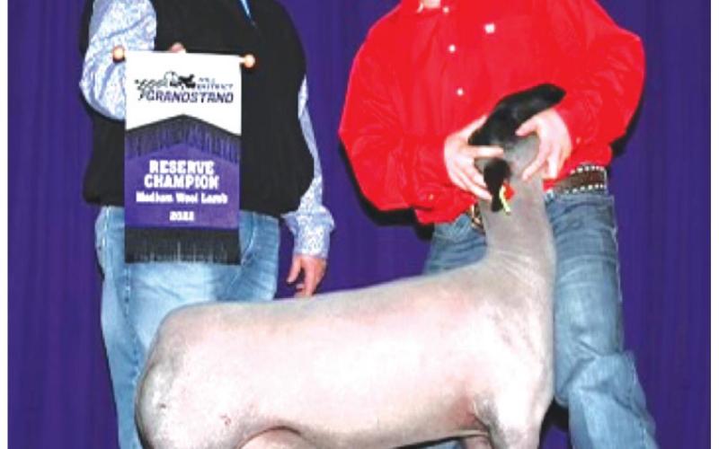 Award earned at Grandstand stock show