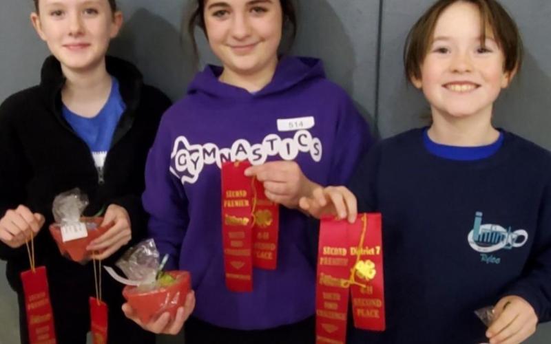 Students place in Food Challenge competitions