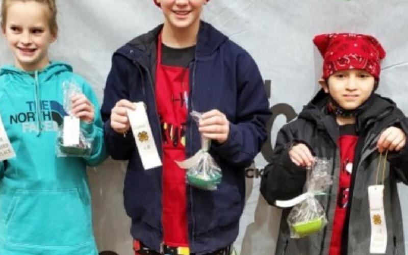 Students place in Food Challenge competitions