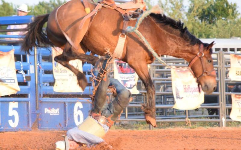 Cameron Poteet from Ballinger hits the ground hard at the end of his saddle bronc ride during last week’s rodeo. ALEXANDRIA RANDOLPH | DISPATCH RECORD
