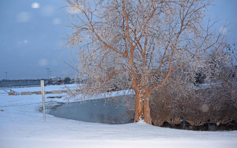 A snow-ice mixture covers the ground at the 580 Sports Park near a pond and a walking trail on Saturday. JEFF LOWE | COURTESY PHOTO