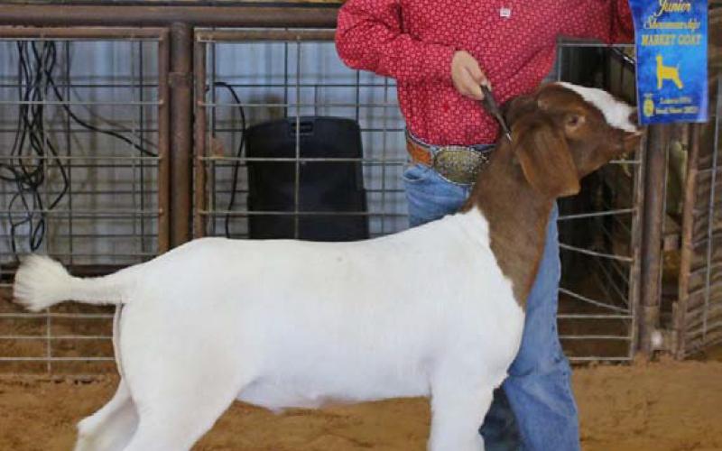 Wyatt Tucker was named the junior market goat showmanship winner on Saturday. MASON HINES | DISPATCH RECORD