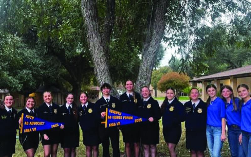 These Lampasas FFA members qualified for advancement to Area VII Leadership competition in Uvalde and brought home several banners for their teams. Their FFA adviser is Judy Hail. COURTESY PHOTO