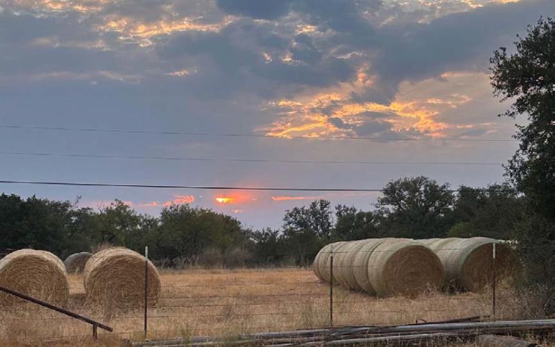 Farm Bureau names photo contest winner