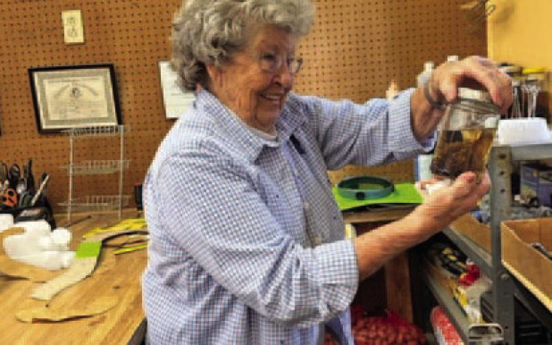 Wilma Loughmiller examines a preserved specimen in her workshop. She has received dozens of awards for her taxidermy pieces, but recognition has never been a motivation for her. Excellence in her craft and investing her time in others is how she has preferred to spend her life. JOYCESARAH MCCABE | DISPATCH RECORD