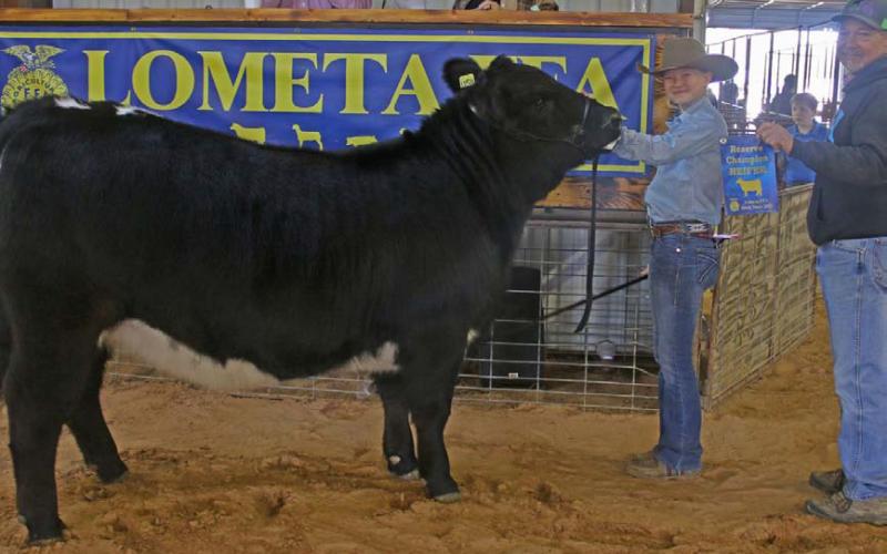 MASON HINES | DISPATCH RECORD Selie Hodge earned reserve champion heifer honors.