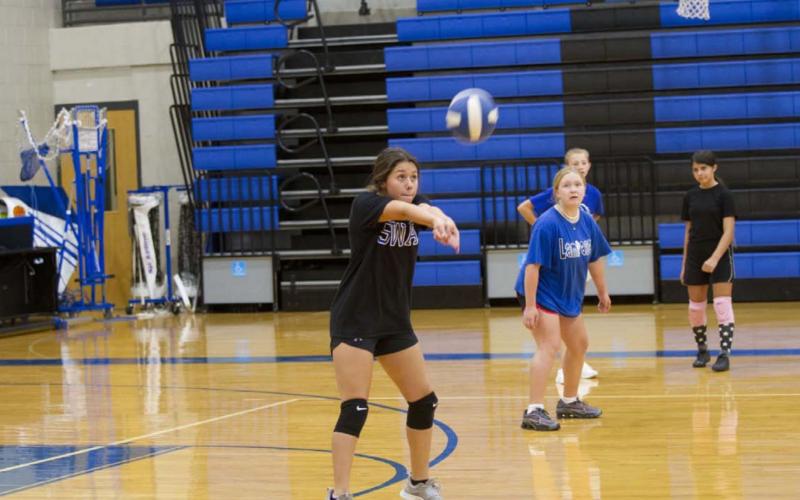 Local volleyball players work at Badger camp