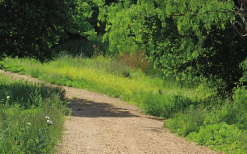 The walking trails at Cooper Spring Nature Park are covered in a gravel that allows for good drainage and ease of walking through the wildlife habitat. JOYCESARAH MCCABE | DISPATCH RECORD