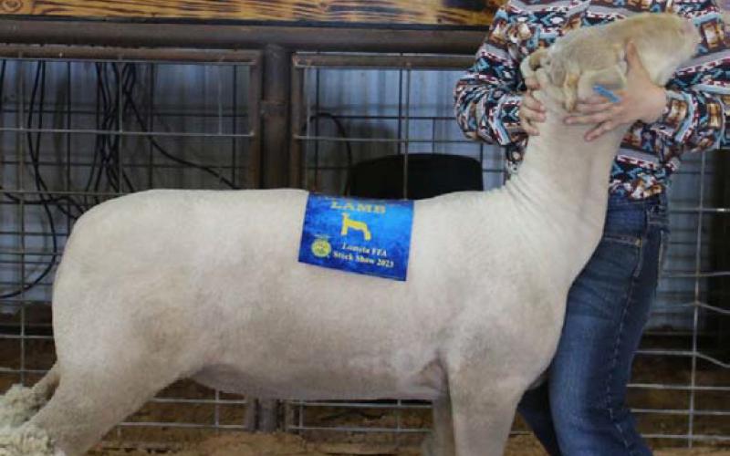 Jack Duncan was named the 2023 junior market lamb showmanship winner at the Lometa FFA Stock Show. MASON HINES | DISPATCH RECORD