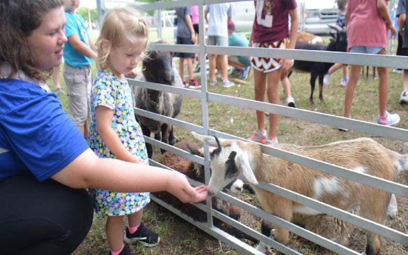 Lampasas County Farm Bureau will sponsor a Children’s Barnyard as part of Kids’ Day Activities. FILE PHOTO