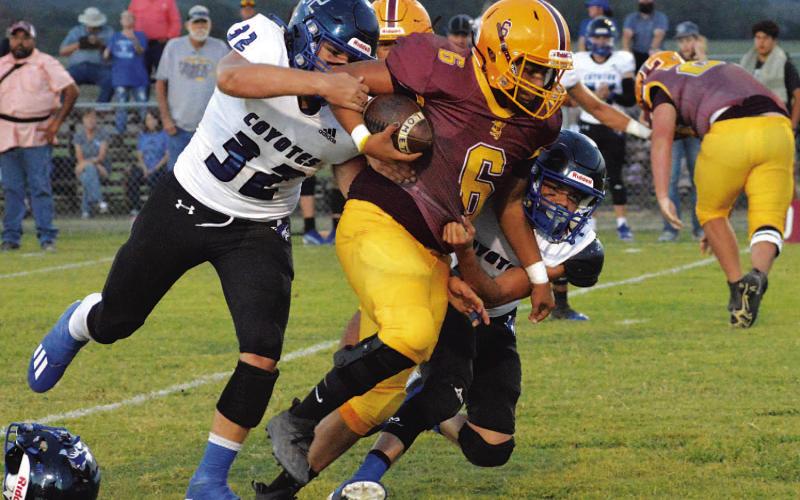 Turnovers cost the Hornets in loss to Richland Spri