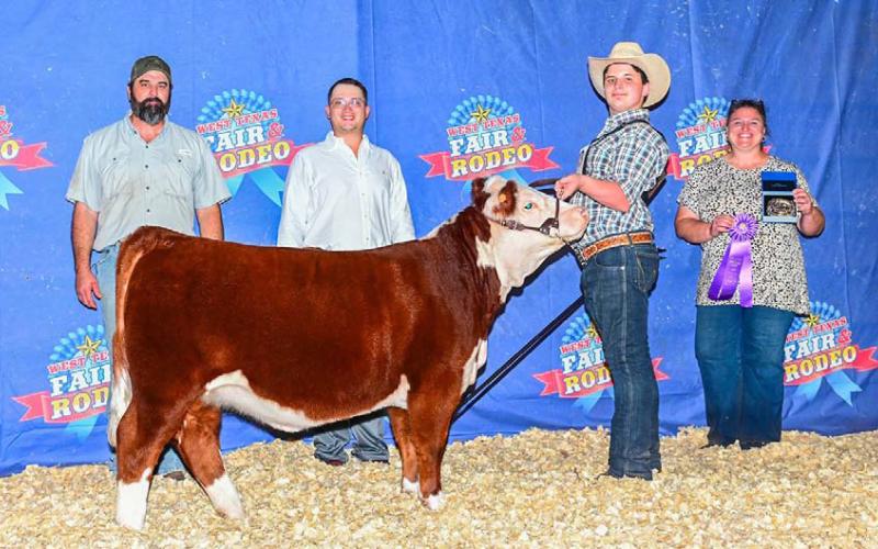 Cort Maples participated in the West Texas Fair &amp;amp; Rodeo in Abilene over the Labor Day weekend. In 2024, he won Reserve Grand Champion Heifer and came back this year to try to top that accomplishment. He showed three of his Miniature Hereford heifers and a Miniature Hereford bull. Maples won Grand Champion Female with his heifer, Lena, in the Junior and Open Shows. He also had division wins with another heifer and his bull. courtesy photo