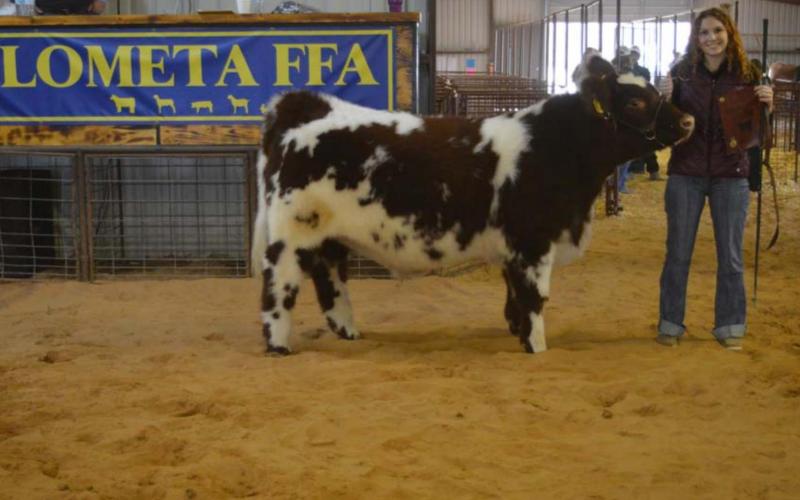 Lometa stock show crowns champion