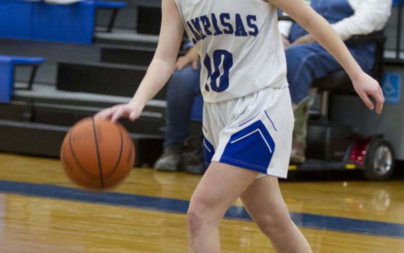 Addison Borchardt
