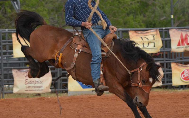 The Riata Roundup offers a variety of rodeo events over the three days of the annual festival, including the classic saddle bronc riding. Erick Mitchell | Dispatch Record