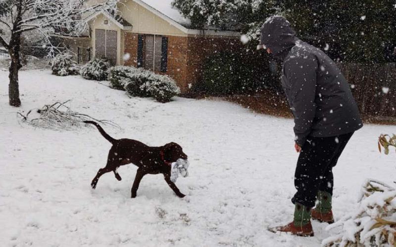 Parker Kendrick plays with Lincoln, a 5-month-old chocolate Labrador retriever, in the snow on Castleberry Street on Sunday. DAVID LOWE | DISPATCH RECORD