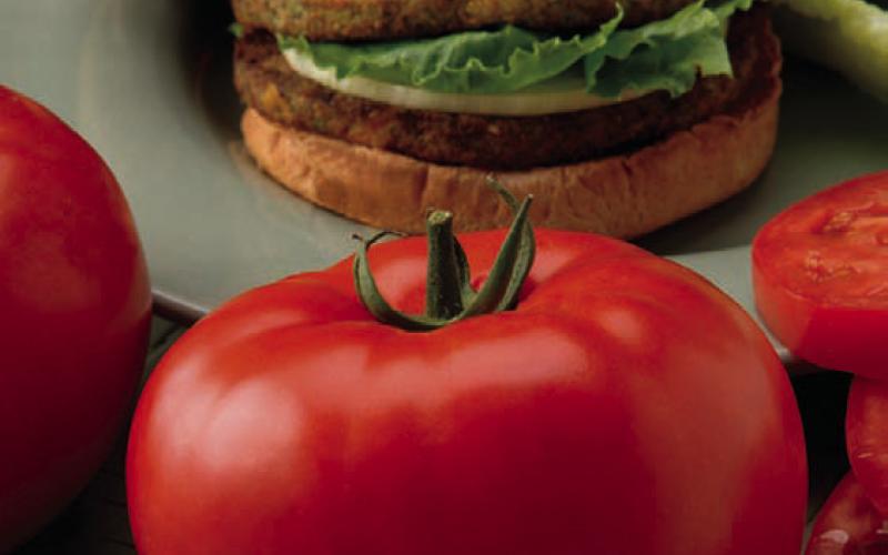 COURTESY PHTO | ALL-AMERICA SELECTIONS Big Beef tomato has remained one of the most popular red tomatoes in North America with its 8- to 12-ounce fruit.