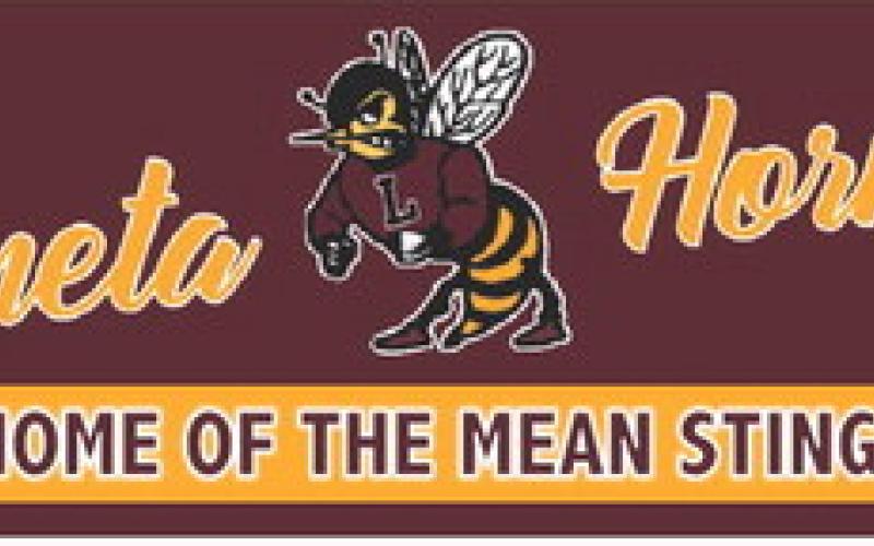 Lometa Hornest HOME OF THE MEAN STING!