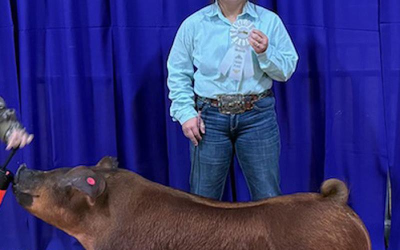 Ava Rojas, a Lampasas FFA member, placed third at the Hill District Grandstand Livestock Show in Kerrville. Her Duroc barrow was in the premium sale Saturday in Fredericksburg. COURTESY PHOTO