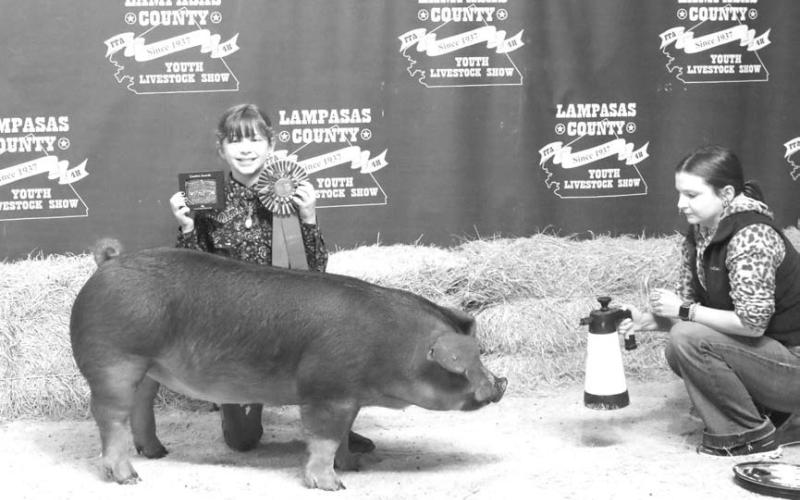 MASON HINES | DISPATCH RECORD In the breeding gilt division, Cheyenne Butler’s entry was named the grand champion.