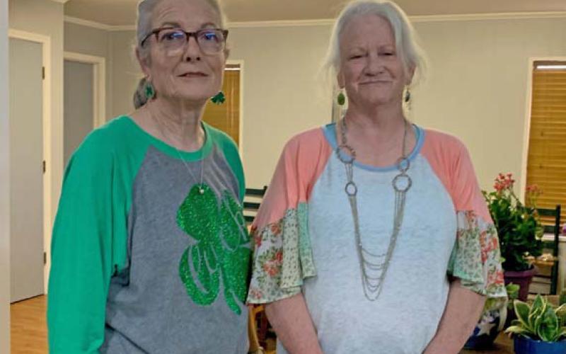 Tico Hicks, left, and Teresa Stewart gave a presentation to L-M Garden Club members on how to prepare for the annual Flower Show to be held in April. Courtesy photo