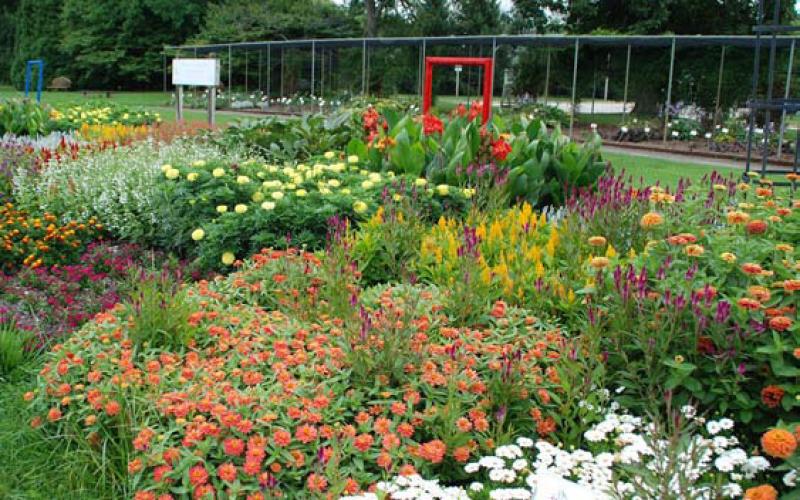 An AAS trial garden at Boerner Botanical Gardens offers a setting that evaluates plants for qualities suitable to the home garden. courtesy photo | melindamyers.com