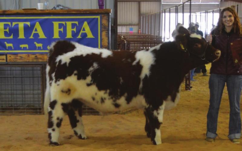 MASON HINES | DISPATCH RECORD Katie Procter’s steer earned the grand champion honor in that division.