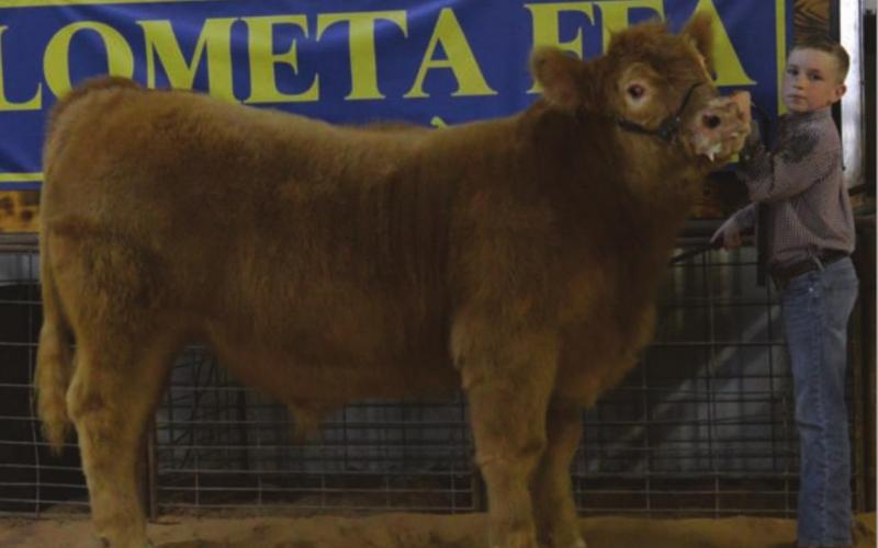MASON HINES | DISPATCH RECORD D Housten Hill garnered junior showmanship honors for cattle, and he exhibited the reserve champion steer.