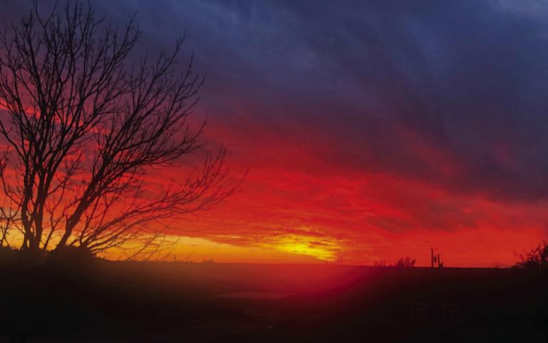 COURTESY PHOTO | SHANNON PRICE