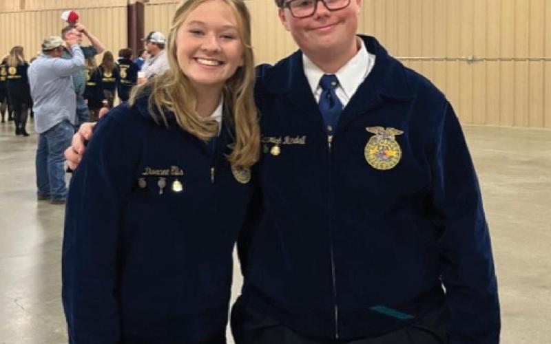 LHS students named district officers