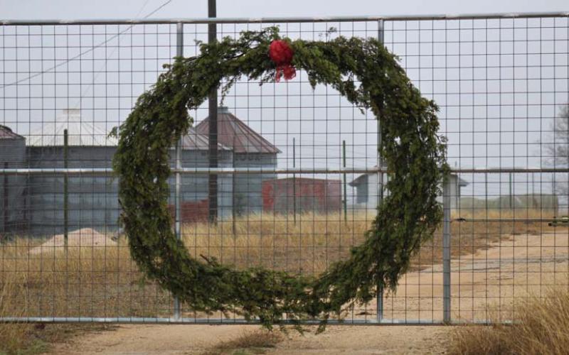 A large Christmas wreath made of Texas cedar might be the best use of this invasive species. Joycesarah McCabe | Dispatch Record
