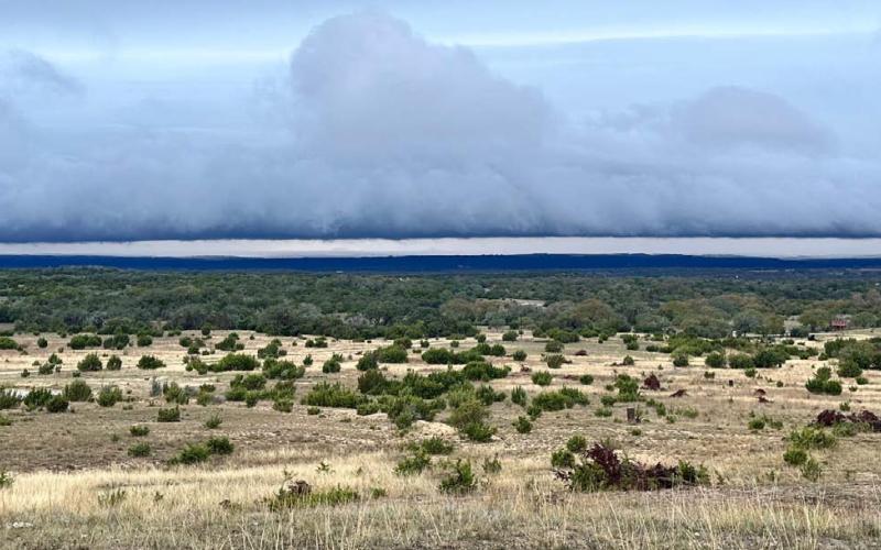 Texas cedars dot the landscape of this Lampasas County cattle ranch. joycesarh mccabe | dispatch record