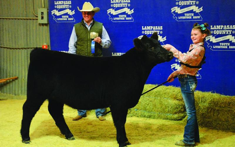 Students take home numerous show honors